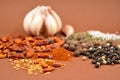 Mixture of spices and garlic stock images