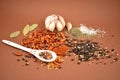 Mixture of spices and garlic stock images