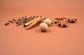 Mixture of spices stock images Royalty Free Stock Photo
