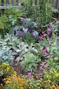 Mixture vegetable and flowers garden bed