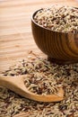 Mixture of Wild, Red, White and Brown Rice Royalty Free Stock Photo