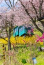 MIYAGI,JAPAN - APRIL 13, 2017 : Tourists slope car pass through