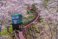 MIYAGI,JAPAN - APRIL 13, 2017 : Tourists slope car pass through tunnel of Cherry Blossom at Funaoka Castle Ruin Park, Miyagi,