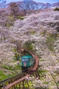 MIYAGI,JAPAN - APRIL 13, 2017 : Tourists slope car pass through tunnel of Cherry Blossom at Funaoka Castle Ruin Park, Miyagi,