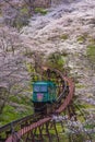 MIYAGI,JAPAN - APRIL 13, 2017 : Tourists slope car pass through tunnel of Cherry Blossom at Funaoka Castle Ruin Park, Miyagi,