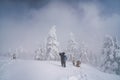 People taking photos of frozen trees or Juhyo in snowstorm in Miyagi, Japan Royalty Free Stock Photo