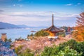 Miyajima, Hiroshima, Japan Royalty Free Stock Photo