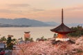 Miyajima Island, Hiroshima, Japan in Spring Season Royalty Free Stock Photo