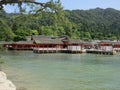 Miyajima Itsukushima shrine, Torii Gate