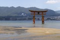 Miyajima - Japan, May 26, 2017: Red Torii gate of the Itsukushima Shrine in the sea at low tide naer Miyajima with a child in fro