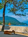 Miyajima torii in Japan Royalty Free Stock Photo