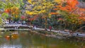 Takachiho Gorge is a narrow chasm cut through the rock by the Gokase River, plenty activities for