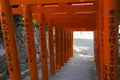 Row of Torii to the Udo Shrine, located on the Nichinan Coast south of Miyazaki City