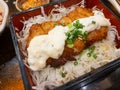 Miyazaki Style Nanban Chicken Rice Bento, fried chicken dishes with creamy tartar sauces. tori nanban don Royalty Free Stock Photo