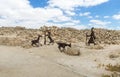 Made of metal Silhouettes of a shepherd with goats in ruins of the Nabataean city Avdat, in the Judean desert in Israel.