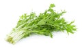 Mizuna lettuce isolated Japanese Mustard, vegetable salad for good health on white background