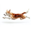 High-Speed Canine in Motion â Athletic Dog Leaping Mid-Air Isolated on White Royalty Free Stock Photo