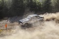 MkII Ford Escort Rally Car