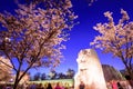 MLK Memorial in DC Royalty Free Stock Photo