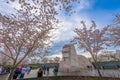 MLK Memorial in Spring in Washington DC Royalty Free Stock Photo