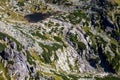 Mlynicka valley in High Tatras, Slovakia Royalty Free Stock Photo