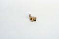 9mm bullet shell casings on white background Royalty Free Stock Photo