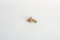 9mm bullet shell casings on white background Royalty Free Stock Photo