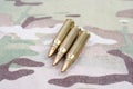 5.56mm NATO rounds