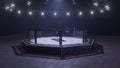 Mma arena. Empty fight cage under lights. 3D rendering