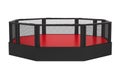 MMA Fight Cage Arena Isolated