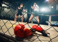 MMA fight scene
