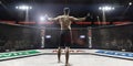 Mma fighter in arena greeting the spectators, rear view Royalty Free Stock Photo