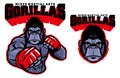 MMA fighter gorilla