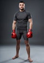 MMA fighter posing on gray Royalty Free Stock Photo