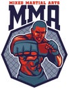 MMA fighter punch