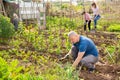 Mman working in vegetable garden with family Royalty Free Stock Photo