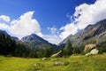 Mmountain with green pastures Royalty Free Stock Photo