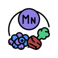 mn vitamin color icon vector illustration