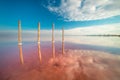 Mnimalistic landscape of pink salt lake with reflections. Real shot of unique natural landscape, Ukraine