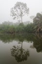 The Moa river to Tiwai Island Wildlife Sanctuary during foggy early morning with mystical mood, Sierra Leone, Africa