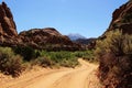 Moab back road