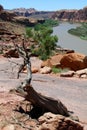 Moab, Utah and the Colorado River Royalty Free Stock Photo