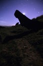 Moai- Easter Island, Chile Royalty Free Stock Photo