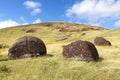 Moai hats on hillside in Easter Island