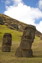 Moai on Rano Raraku, Easter Island Royalty Free Stock Photo