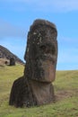 Moai at Rano Raraku - the Moai factory on Easter Island