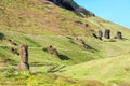 Moai at Rano Raraku