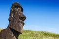 Moai statue in the Rano Raraku Volcano in Easter Island, Chile