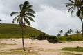 Moai Statues at Anakena Beach, with Palms and Sand Royalty Free Stock Photo