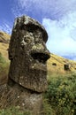 Moais- Easter Island, Chile Royalty Free Stock Photo